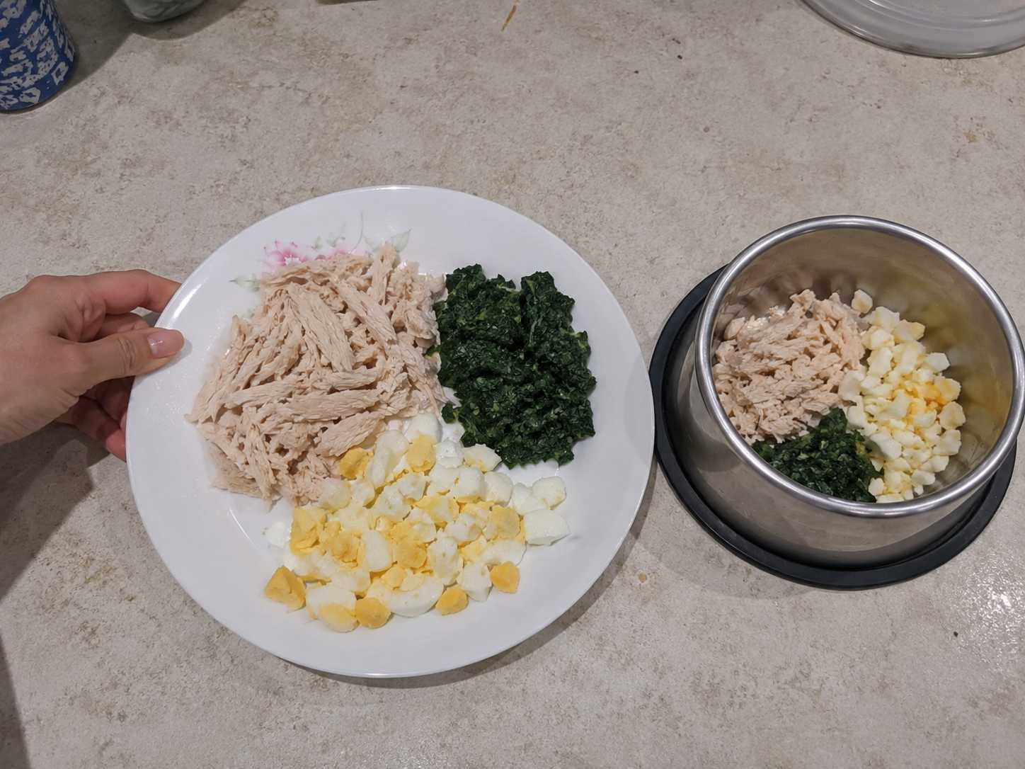 Plato equilibrado de pollo y vegetales para perro
