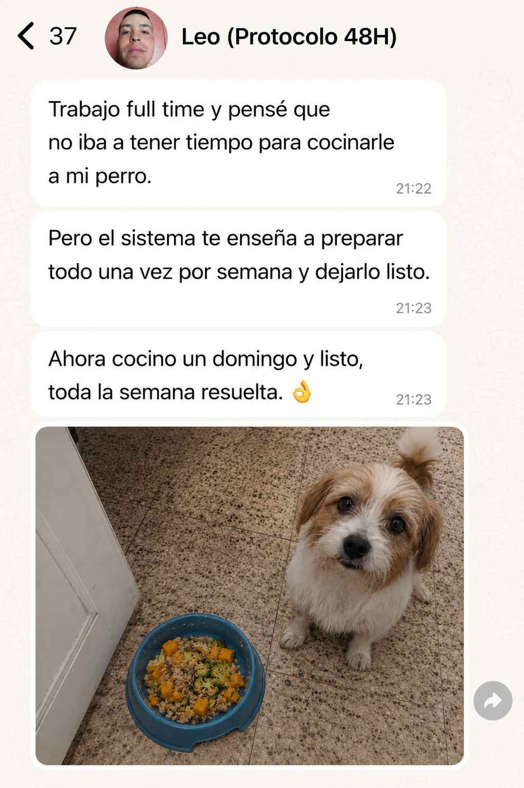 Testimonio de Leo sobre el Protocolo Healthy Dog 48H