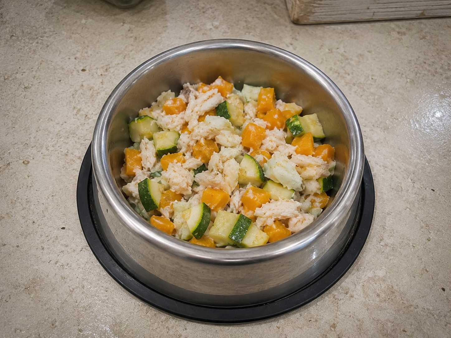 Porción casera de comida natural para perro